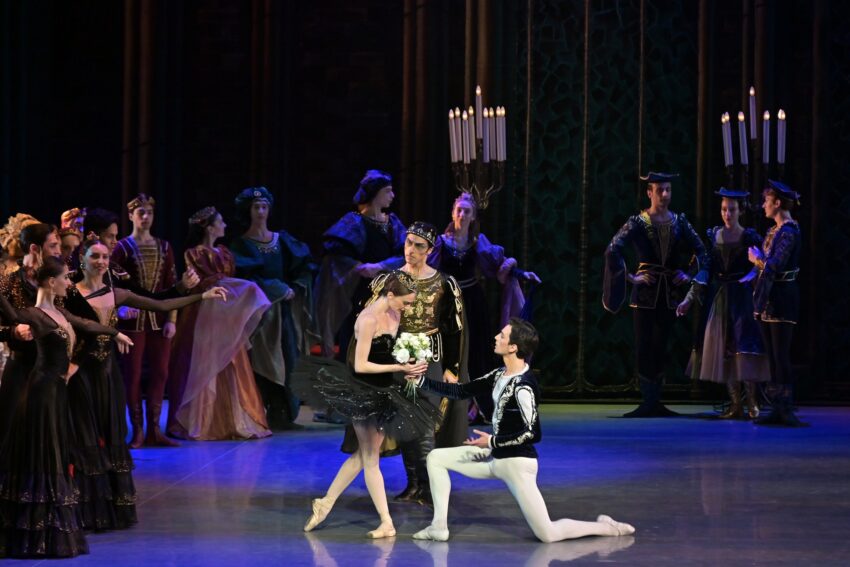 Image from State Ballet of Georgia's Swan Lake